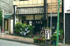 写真エッセイ：熱海散歩８