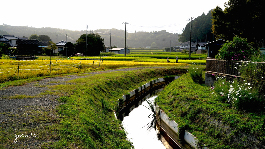 写真句：道すがら