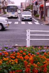 街を彩る花：T字路
