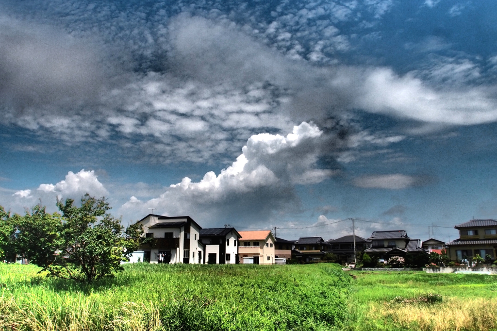 夏雲