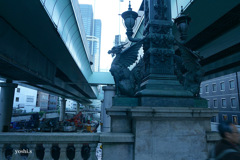 写真エッセイ：東京３：日本橋にて２：翼のある麒麟