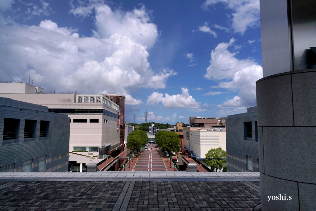 写真エッセイ：東京散歩20：パルテノン多摩３