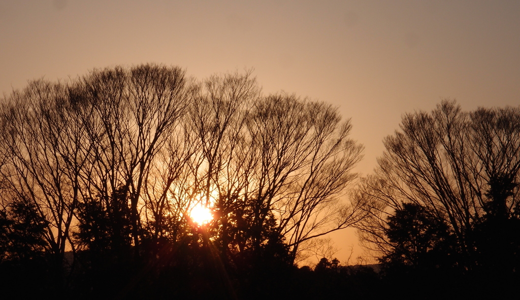 高校の夕陽