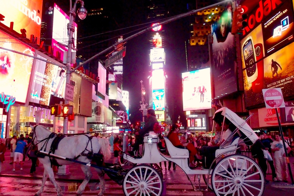 Manhattan Journal 2013 #5： 観光馬車＠Times Sq
