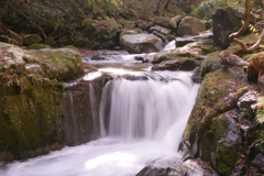 2014秋彩13：小滝沢の小滝