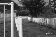 写真エッセイ：B&W2 散歩道２