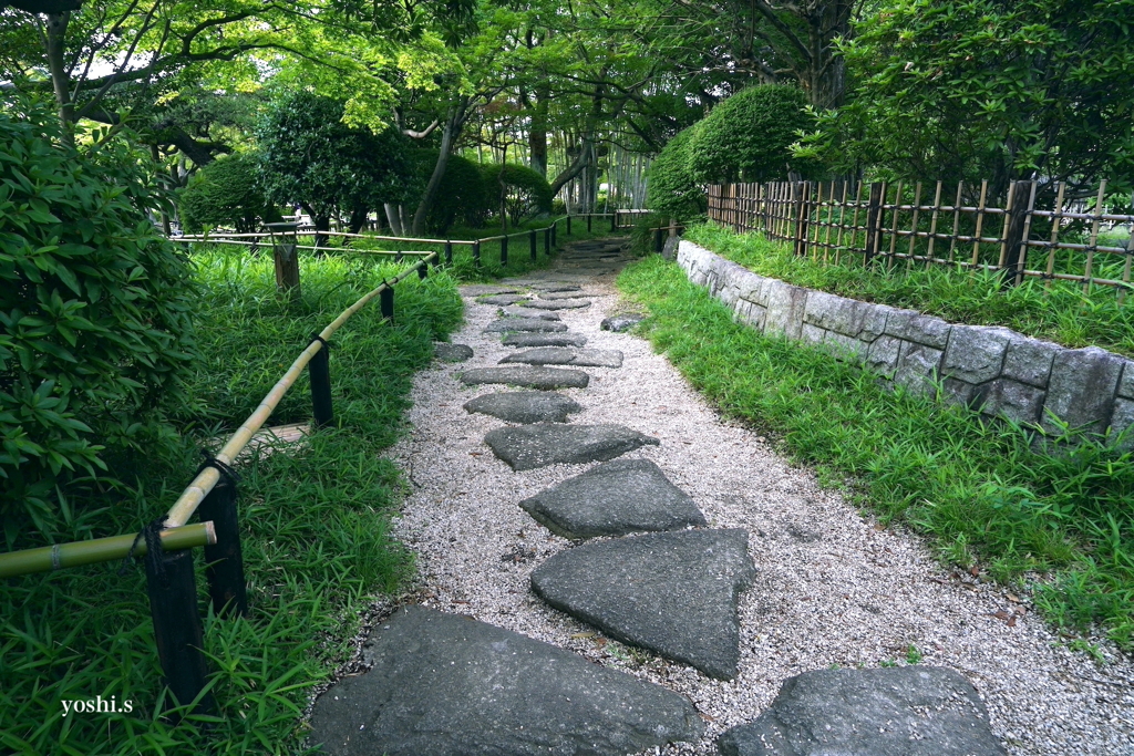 写真エッセイ：公園２：小道２