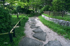 写真エッセイ：公園２：小道２
