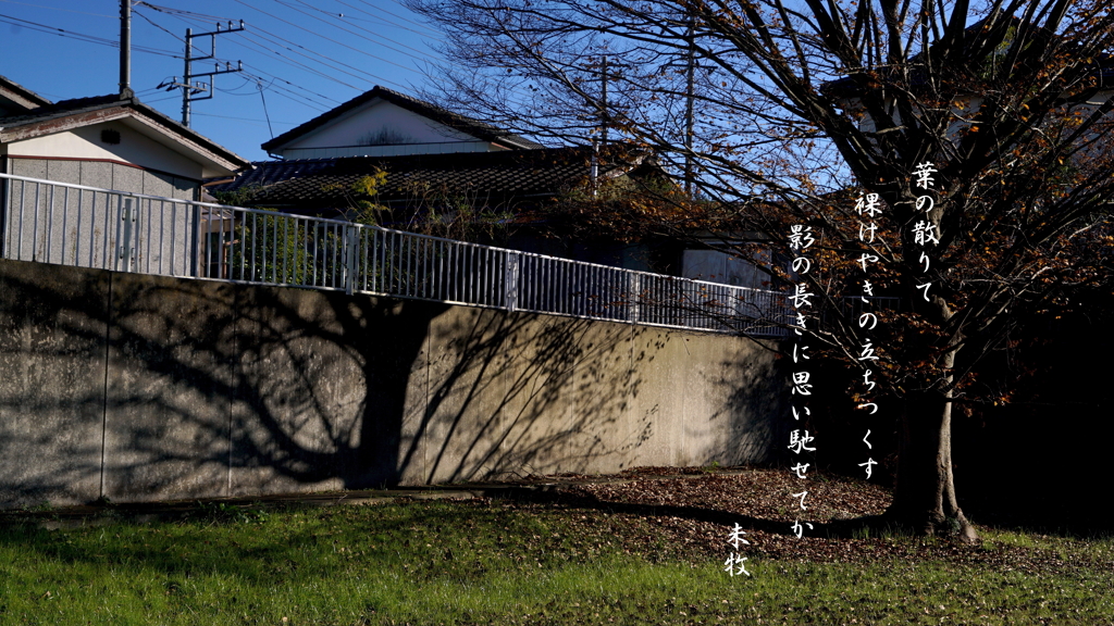 写真歌：長き影