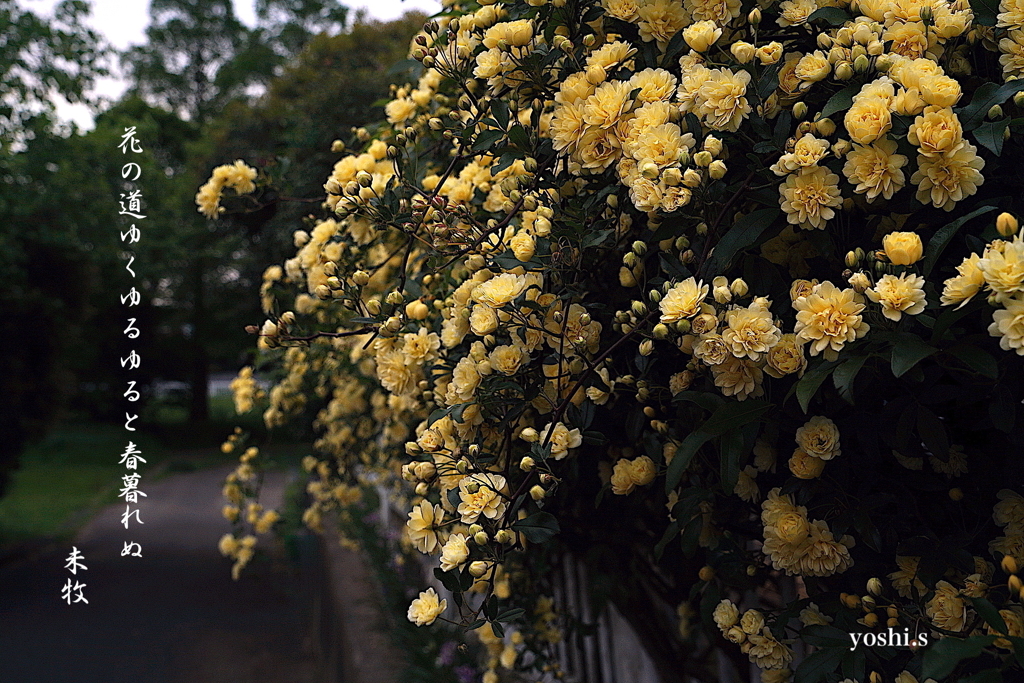 写真句：春暮れる