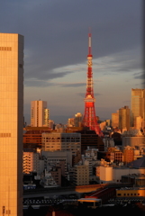 湾岸スケッチ４：朝／目覚める東京タワー