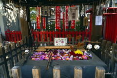 写真エッセイ：上野・下谷神社２：花手水