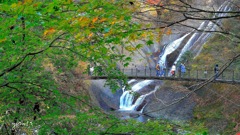 写真エッセイ：袋田の秋８：滝と吊り橋と紅葉と ２