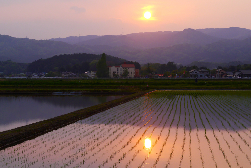 夕陽影：写真句