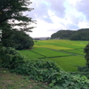 写真句：墓掃除へ：NTW439