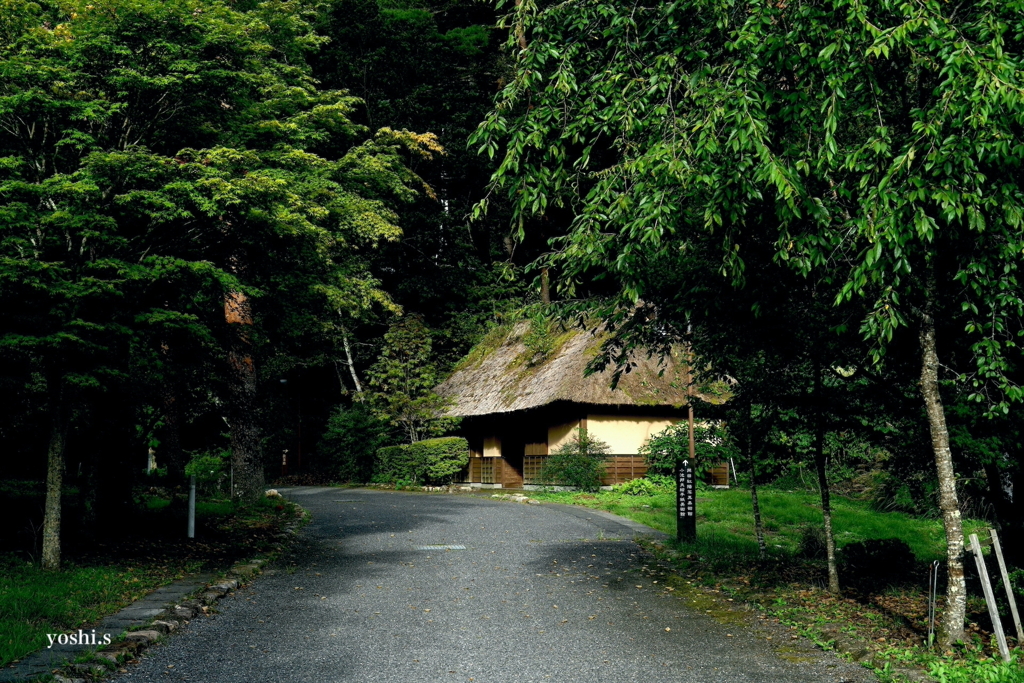 写真エッセイ：富士山22：岡田紅陽写真美術館への小道