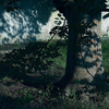 公園の光と影１：Black & White