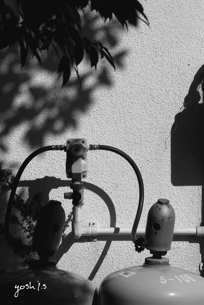 写真掌編：ロボット、その後：B&W