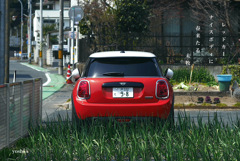 写真句：Red car１