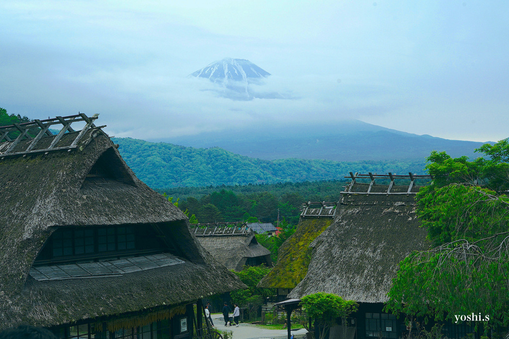 写真エッセイ：冠雪の富士 Photo Trip21：根場10：富士山