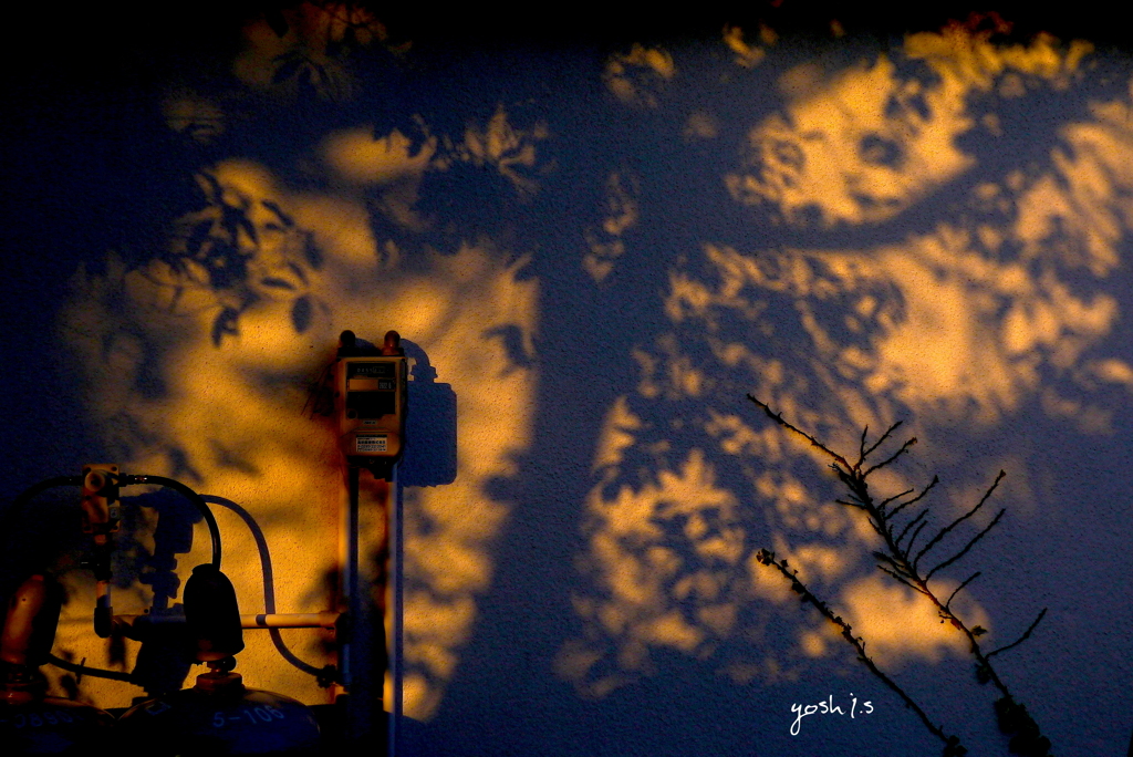 写真句：A Wall Art：写真掌編