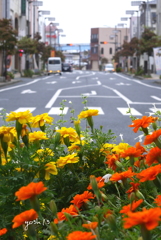 NTW80-2：A Bouquet for the street