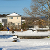 写真歌：雪の朝３：家族