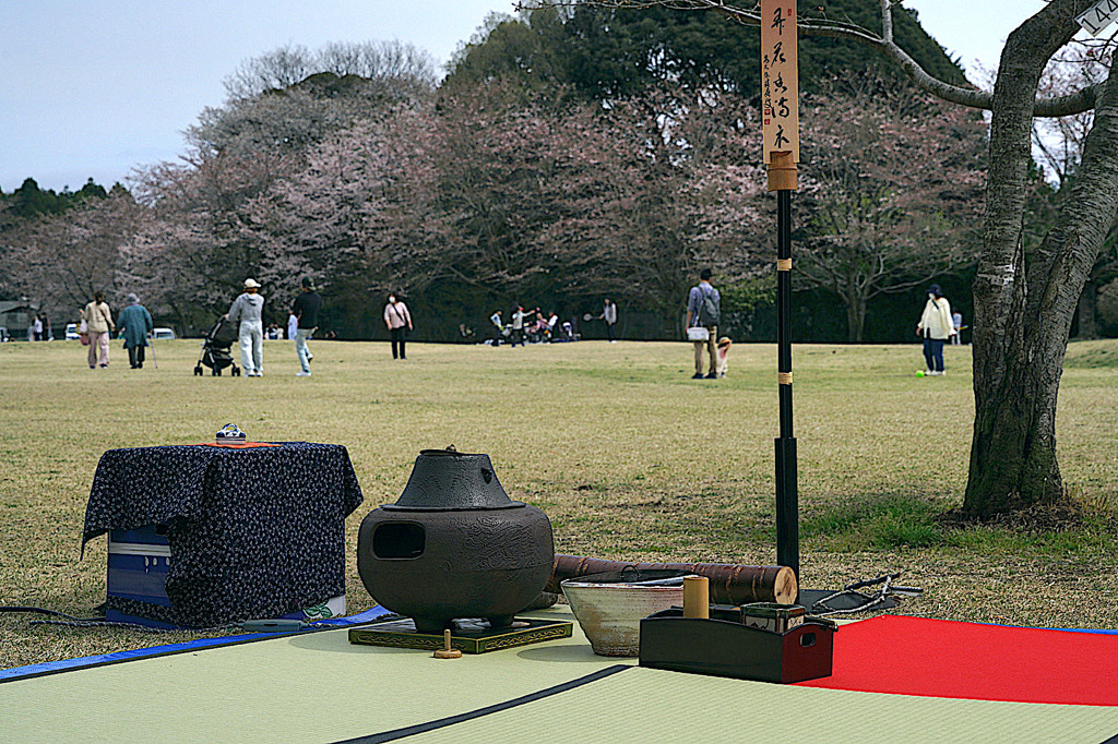 写真エッセイ：さくら公園にて３：野点