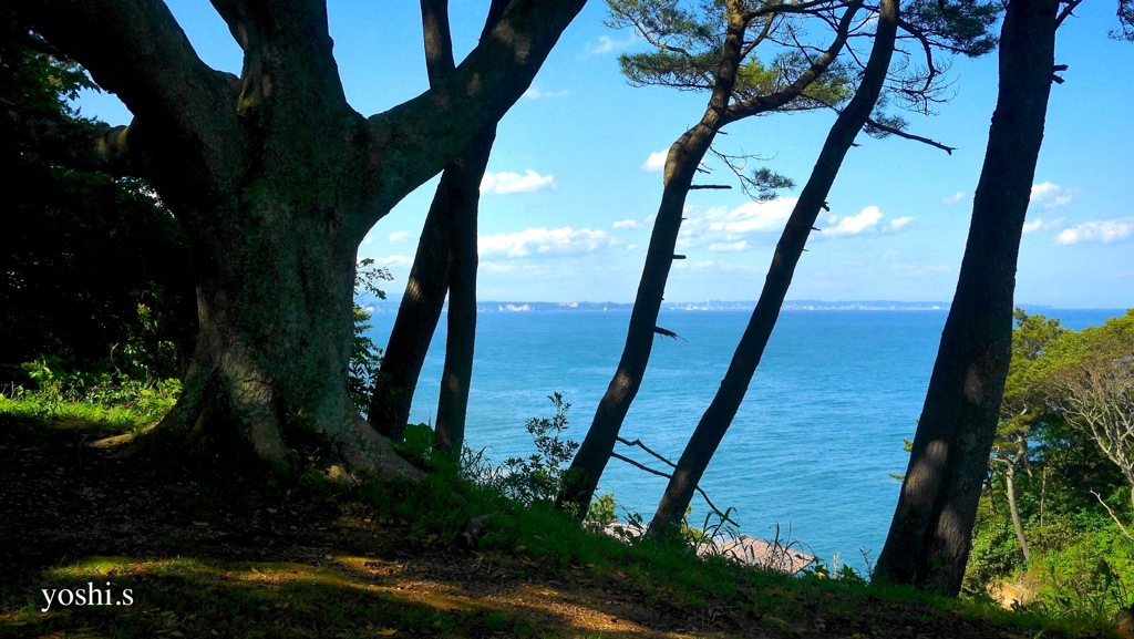 写真エッセイ：五浦２