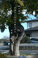 写真エッセイ：古木