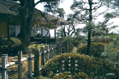 写真句：偕楽園散歩18：好文亭広縁