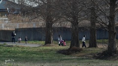 写真エッセイ：公園の母子たち