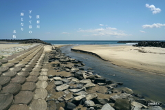 写真句：海へ４：手綱浜：NTW622