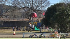 写真エッセイ：公園にて