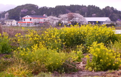 春の風景