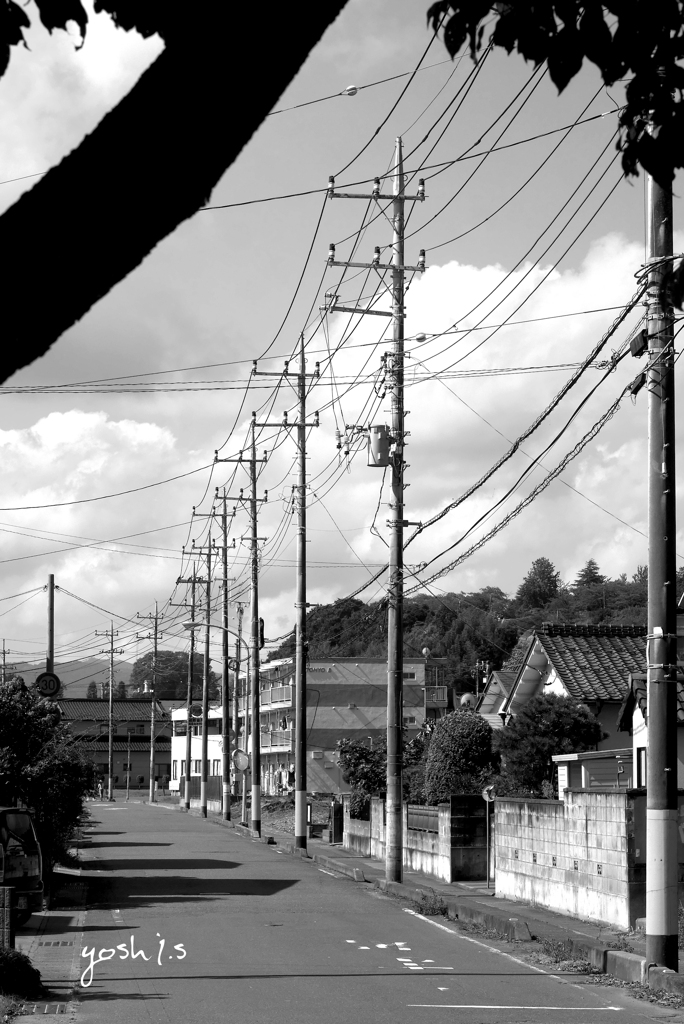 写真エッセイ：電信柱の裏通り：投稿2500枚目：NTW214：B＆W16