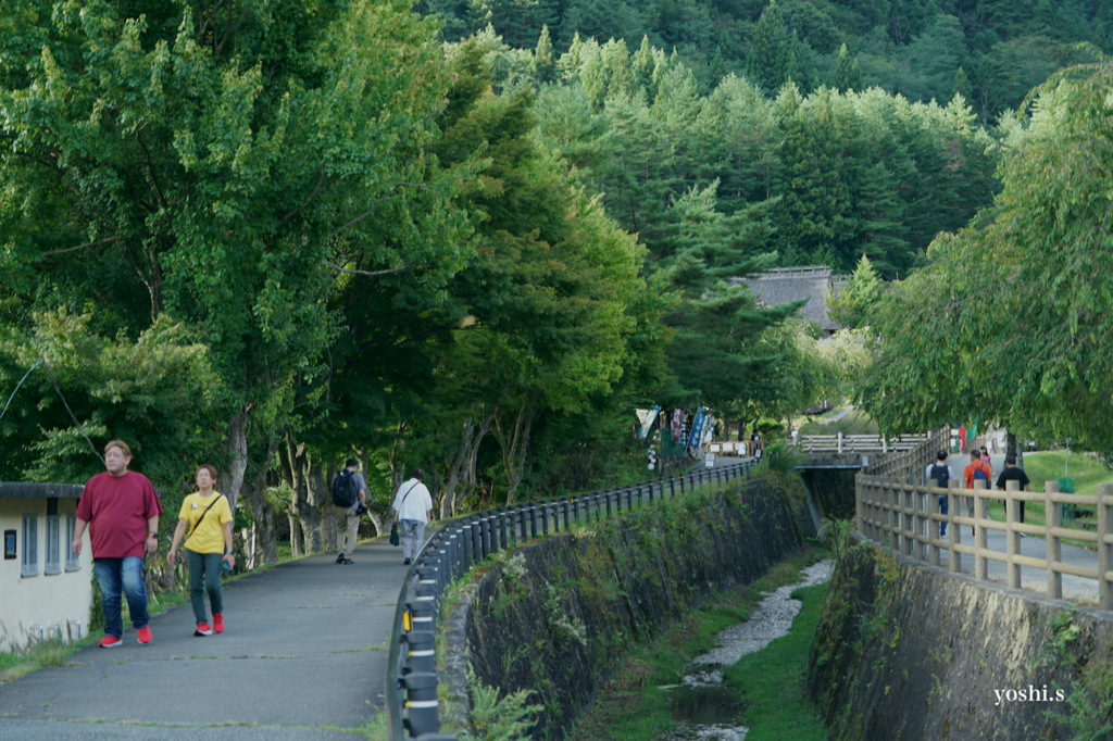 写真エッセイ：富士山９：根場（ねんば）