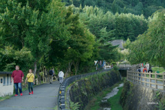 写真エッセイ：富士山９：根場（ねんば）