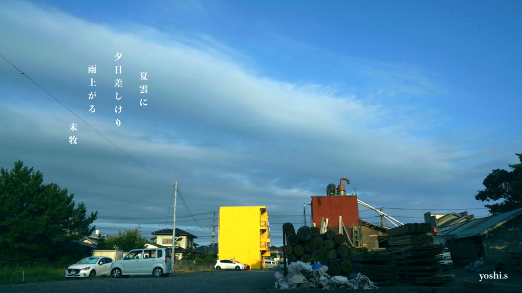 写真句：雨上がる：NTW522