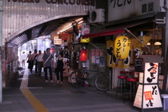 東京散歩Ⅳ：ガード下の楽園１