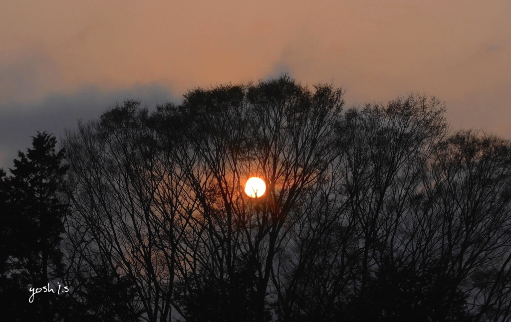 写真句：落日