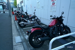 写真エッセイ：横浜で１：ハマのバイク