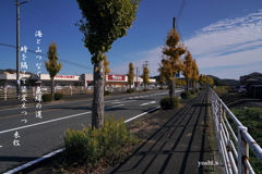 写真歌：写真エッセイ：一直線の道１：NTW462