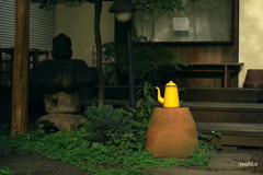 写真エッセイ：谷根千ウォーク22：？