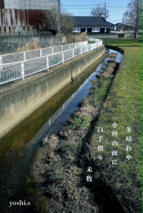 写真句：白手摺り：NTW563