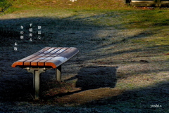 写真句：写真エッセイ：平穏を祈る