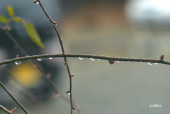 写真エッセイ：十字に贈り物