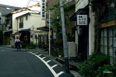 写真エッセイ：谷根千ウォーク23：へび道