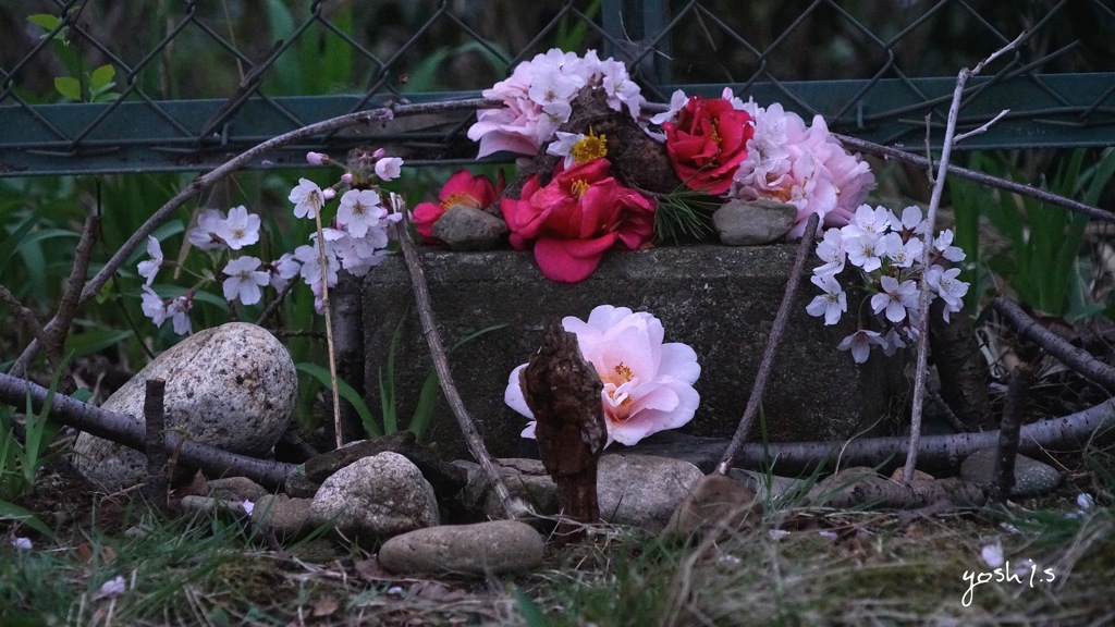 写真エッセイ：花のモニュメント