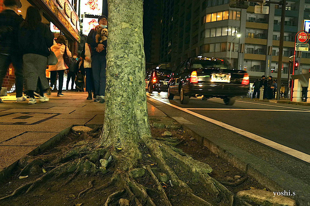 写真エッセイ：横浜11：記憶